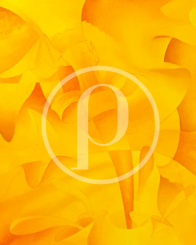 Amarillo (Mexican Floral Arrangement) 2026 - Karrington Gardner