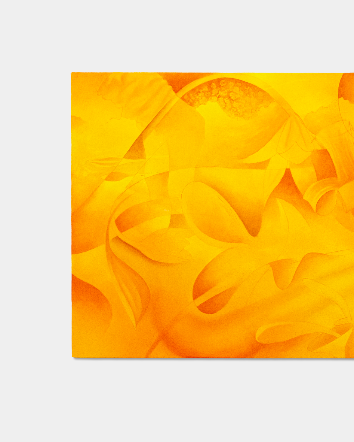 Amarillo (Mexican Floral Arrangement), 2026 - Karrington Gardner